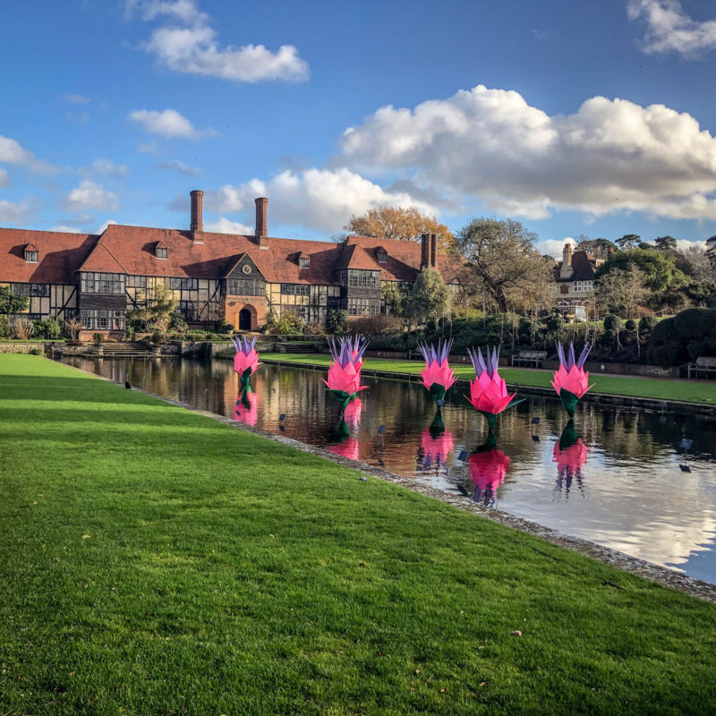Glow at RHS Wisley